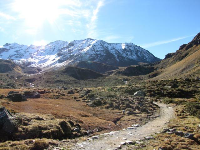 auf breitem Wanderweg verlassen wir Dürrboden und wandern zum Scalettapass