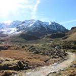 auf breitem Wanderweg verlassen wir Dürrboden und wandern zum Scalettapass