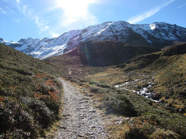 über einen breiten Wanderweg führt uns der Bergpfad nun Richtung Scalettapass