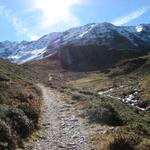 über einen breiten Wanderweg führt uns der Bergpfad nun Richtung Scalettapass