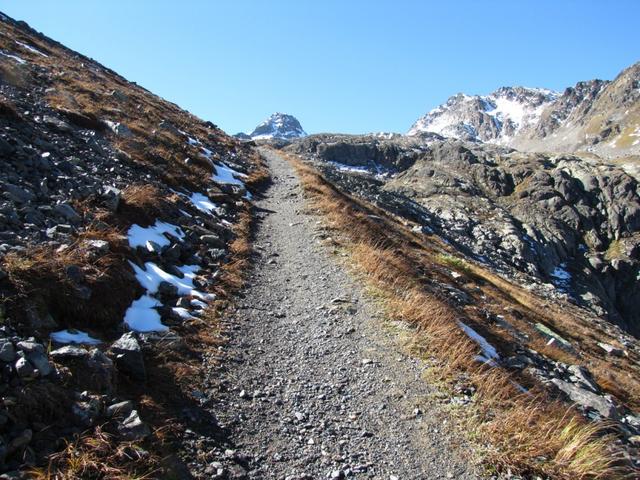 noch heute wandert man über einen einfachen und gut erstellten Pfad zum Scalettapass