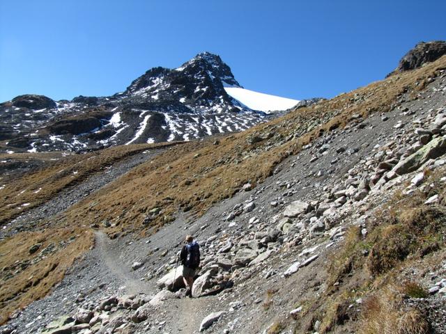 auf dem Weg zur Wegverzweigung Punkt 2531 m.ü.M.