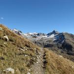 Blick zurück Richtung Piz Grialetsch und Piz Vadret