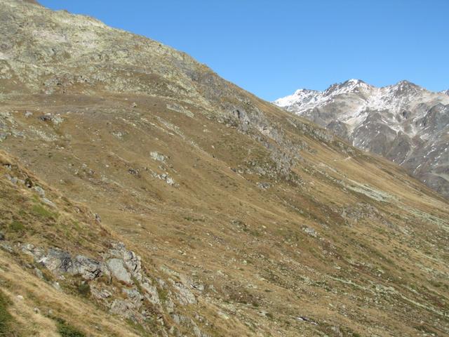 Blick zurück zum Höhenweg, den wir zurückgelegt haben