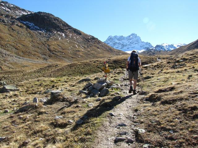 im Val dal Tschüvel bei Punkt 2397 m.ü.M.