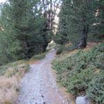 bei Punkt 2174 m.ü.M. auf dem Weg zur Alp digl Chants