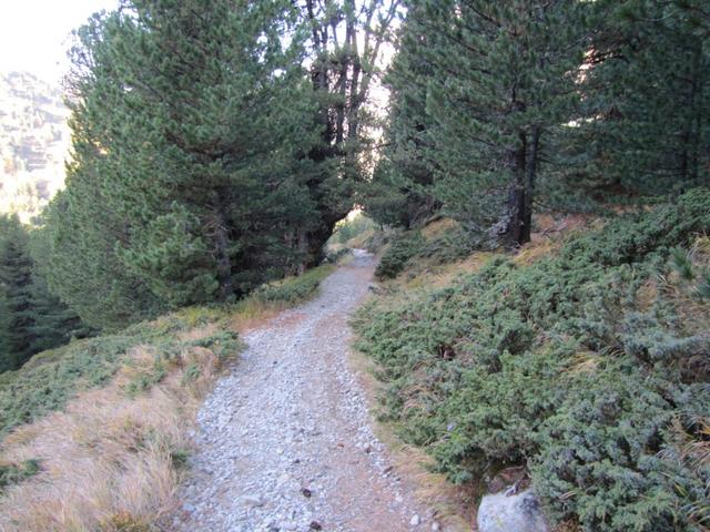 bei Punkt 2174 m.ü.M. auf dem Weg zur Alp digl Chants