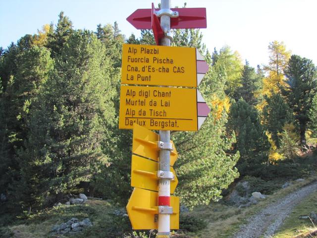 Wegweiser bei Punkt 1952 m.ü.M. wir biegen links ab Richtung Alp digl Chants