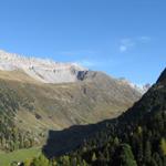 Blick zum Gletscher Ducan und Val da Ravais-ch