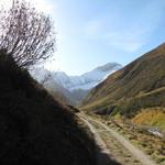 auf dem Weg zur Alp Plazbi