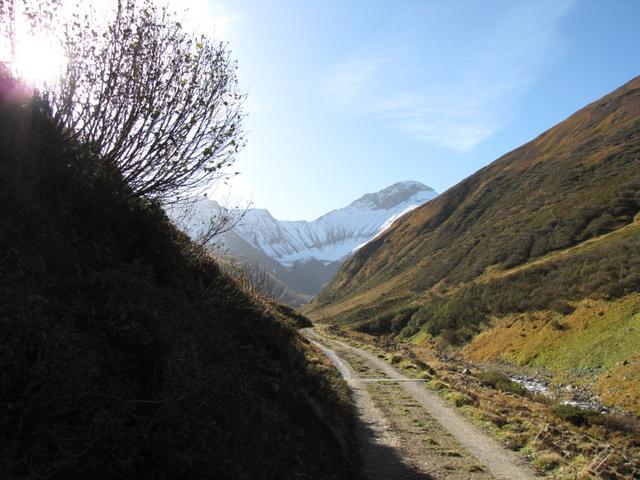 auf dem Weg zur Alp Plazbi