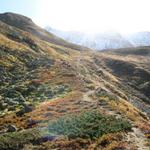 bei Punkt 2523 m.ü.M.