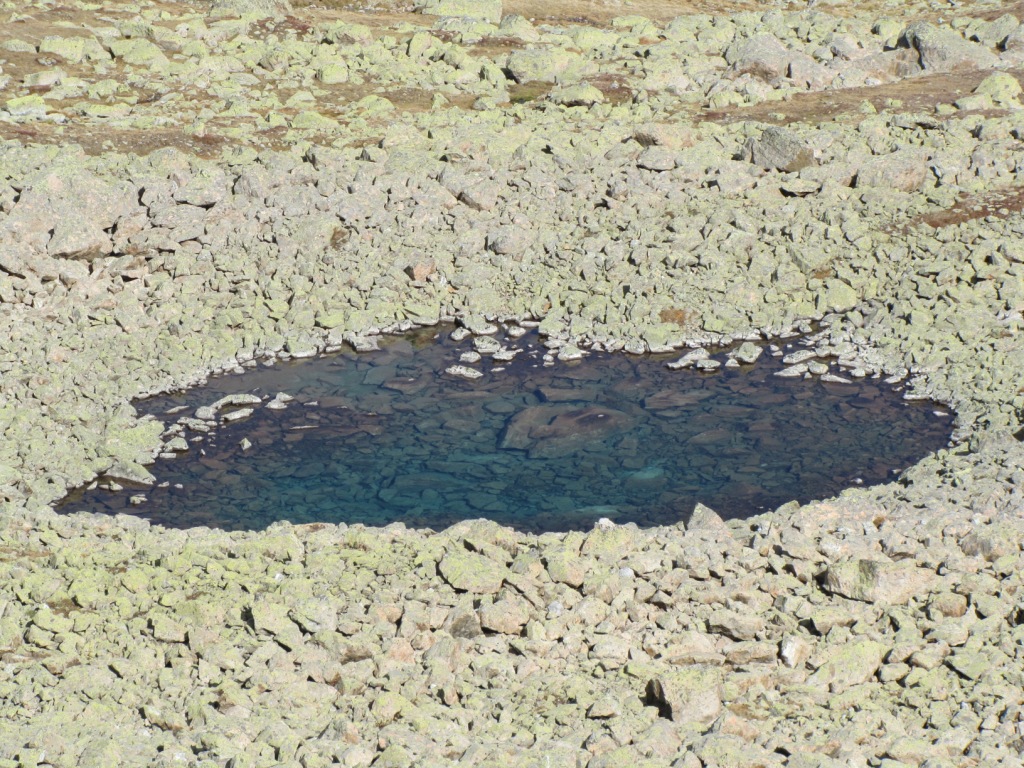 der kleine Bergsee bei Punkt 2571 m.ü.M.