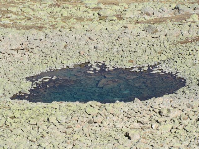 der kleine Bergsee bei Punkt 2571 m.ü.M.