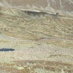 Blick zur Chamanna d'Es-cha das auf einem Moränenwall gebaut wurde. Oberhalb der Hütte die spartanische Dépendance