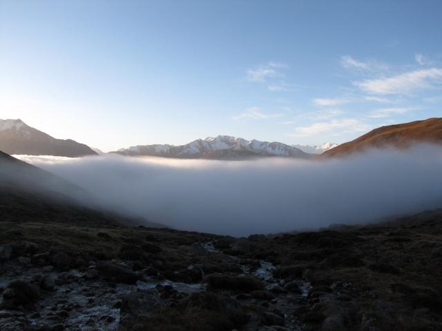 wir tauchen in den Nebel ein