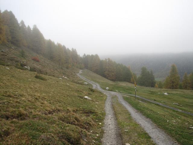 Punkt 2120 m.ü.M. im Val Müra, unterhalb der Nebeldecke über einfachem Wanderweg abwärts nach Madulain