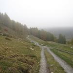 Punkt 2120 m.ü.M. im Val Müra, unterhalb der Nebeldecke über einfachem Wanderweg abwärts nach Madulain