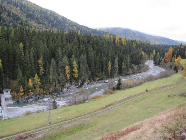 auf der orographisch linken Seite des Inn wandern wir Richtung Susauna