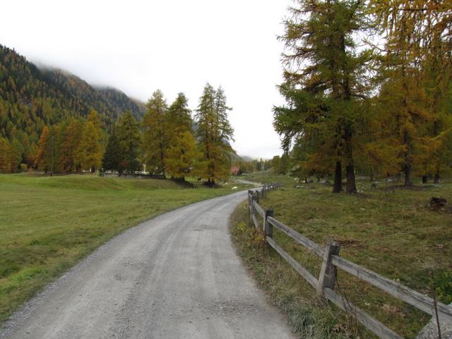 auf dem Weg im Val Susauna kurz vor Susauna