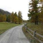 auf dem Weg im Val Susauna kurz vor Susauna