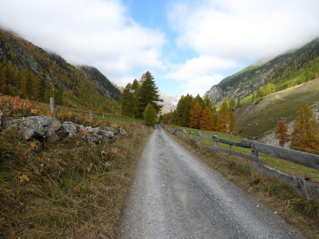 wir haben Susauna verlassen und wandern nun Richtung Alp Funtauna