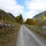 wir haben Susauna verlassen und wandern nun Richtung Alp Funtauna