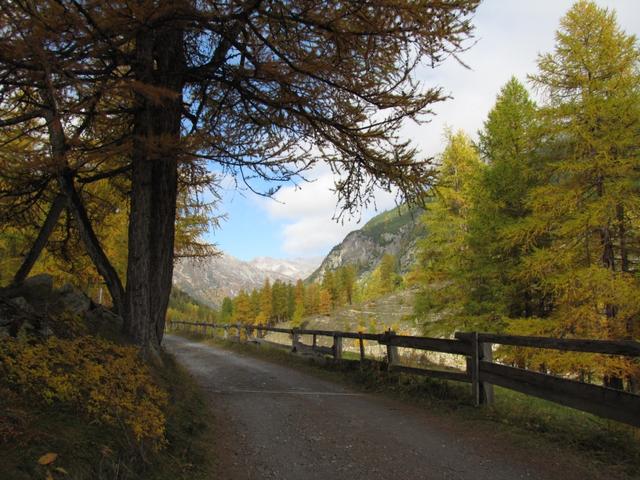 auf der orographisch rechten Seite vom Bach Vallember führt der Wanderweg alles aufwärts