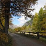 auf der orographisch rechten Seite vom Bach Vallember führt der Wanderweg alles aufwärts