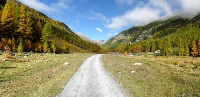 Breitbildfoto der Val Susauna