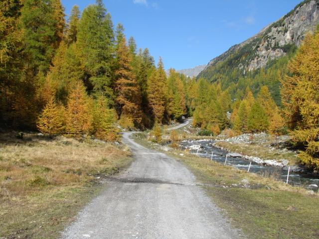 einfach sehr schön diese Wanderung durch das Val Susauna