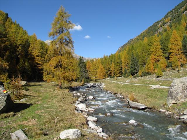 die Via Valtellina und der Bündner Jakobsweg führt auch durch das Val Susauna