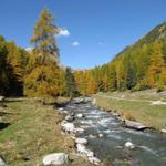 die Via Valtellina und der Bündner Jakobsweg führt auch durch das Val Susauna