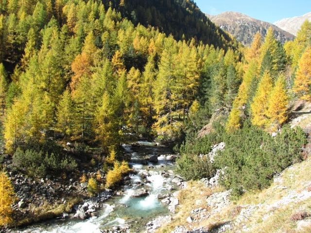 auf der nun orographisch linken Seite vom Bach Vallember