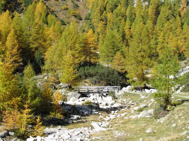 bei Alp Pignaint Punkt 1873 m.ü.M.