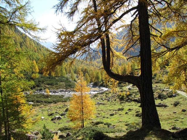 Blick zurück, einfach wunderschön