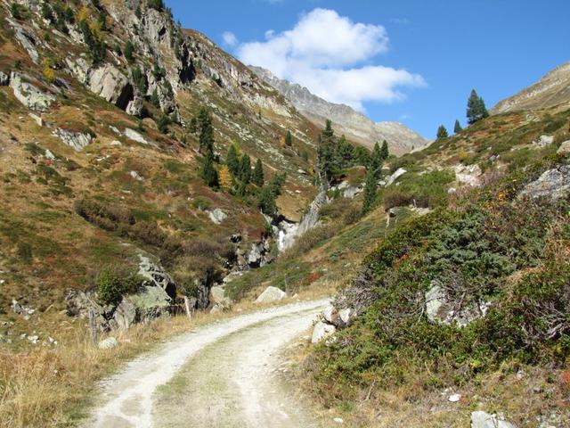 nun wird der Weg steiler