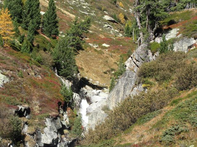 bei Isla hat sich die Vallember eine Schlucht gegraben