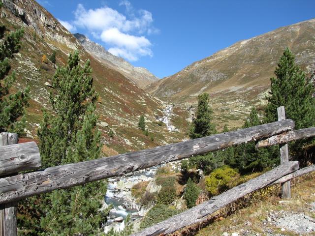 Blick Richtung Alp Funtauna und Scalettapass