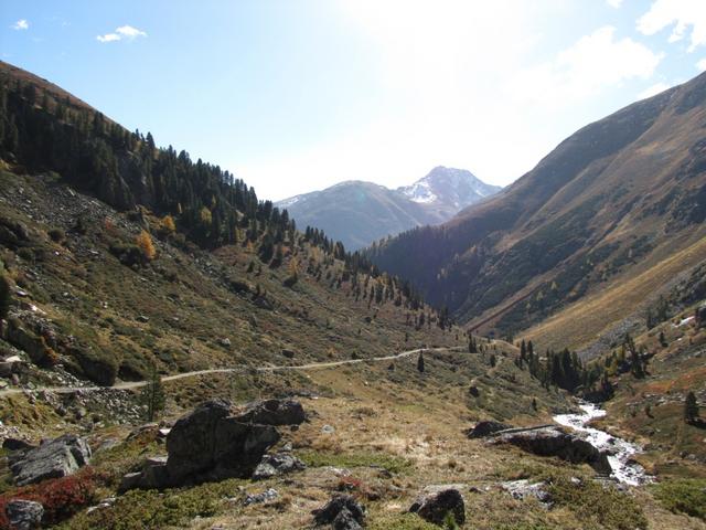 Blick zurück in das wunderschöne Val Susauna