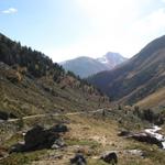 Blick zurück in das wunderschöne Val Susauna