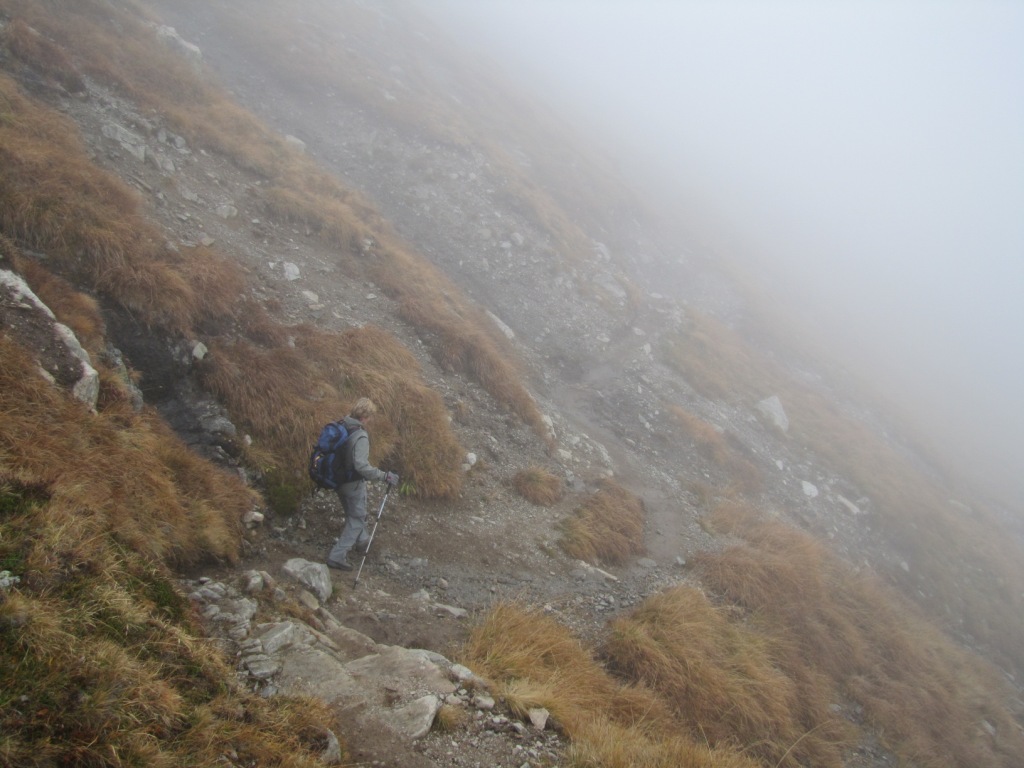 Mäusi auf dem Weg zum Punkt 2458 m.ü.M.