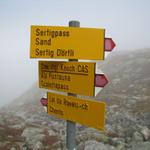 bei Punkt 2547 m.ü.M. zwischen den zwei Seen, nahmen wir den Bergpfad Richtung Sertigpass unter die Füsse