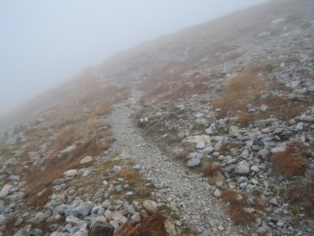 auf gutem Weg Richtung Sertigpass