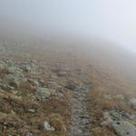 Juhuii der Nebel lichtet sich
