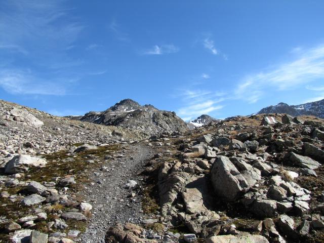 noch ein paar Schritte und wir haben den Sertigpass erreicht. Im Hintergund der Passhöreli