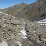 Blick Richtung Punkt 2584 m.ü.M. im Chüealptal