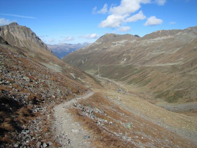 kurz nach Punkt 2584 m.ü.M. mutiert der Bergpfad zu einem einfachen Wanderweg