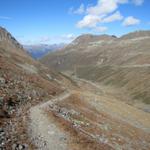 kurz nach Punkt 2584 m.ü.M. mutiert der Bergpfad zu einem einfachen Wanderweg