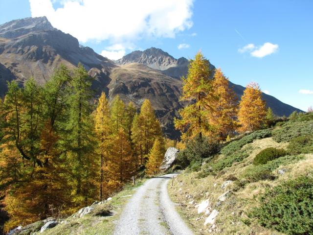 bei Punkt 2028 m.ü.M. kurz bevor das Chüealptal in das Sertigtal einbiegt